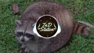 TikTok Ruined This Song