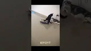 Best Reflexes 💀🗿
