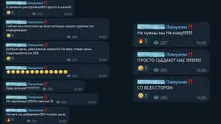 Обнаглела до ужаса ➤ Кошка Чечня БлоХер