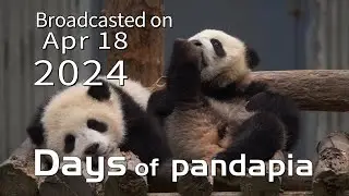 20240418 Broadcast Top Highlights 10