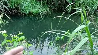 Ikannya kecil sekali... #fishing #asalmancing @LadiesAngler