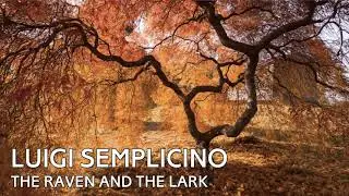 Luigi Semplicino - The Raven and the Lark