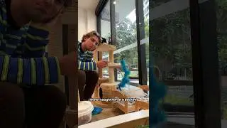 Cats at the Cat Cafe did not like me ❌