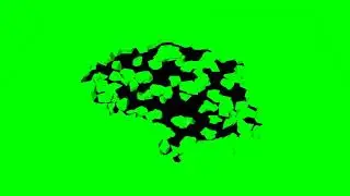 Ground Break Green screen | green screen Effect