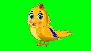 Talking tuni chidiya in green screen/Green Screen video