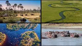 Top Tourist Attractions To See In Zimbabwe