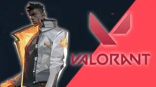 The Valorant Experience