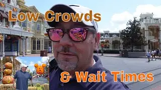 Wait times on a MNSSHP day before 4:oo P.M.