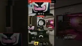 Professional crouch walker