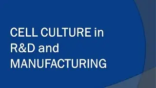Cell Culture in R&D and Manufacturing