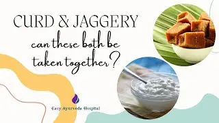 Can we eat curd and jaggery together? Jaggery and curd side effects| Can we mix curd and jaggery?