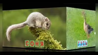 Оқып үйрену. Сөз