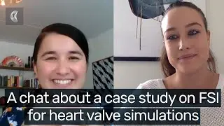 Fluid Structure Interaction in heart valve simulation - case study