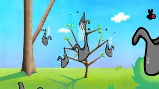 Scat Rabbit Scat!