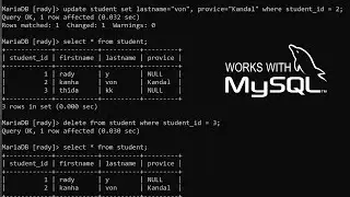 Write SQL Query MySQL Database basic in terminal