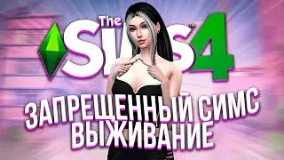 Я поиграл в запрещенный СИМС 4