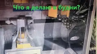 Мой будний день.