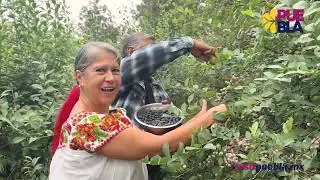ESTO Y MÁS ES PUEBLA CON MARIALE "BLUE RUTA"