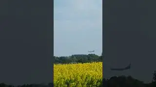 Самолёт заходит на посадку над рапсовым полем.