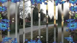Drága anyukám jó utat a fénybe!