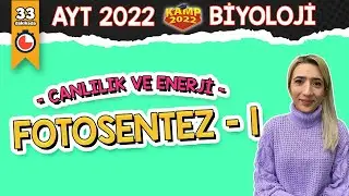 Fotosentez - 1 | AYT Biyoloji 