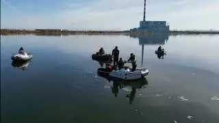 Рыба сошла с ума...Подвинься это мое место!!!