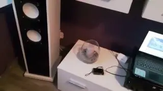 Troszkę murzynów z nowego DIY