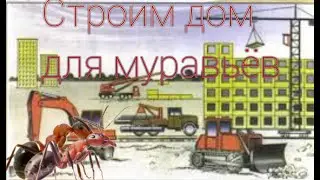 Формикарий своими руками для колонии formica rufibarbis