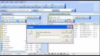Manage files in ws ftp