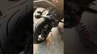 Cat-delete ninja 1000