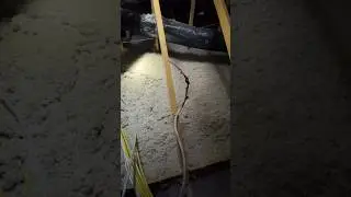 New Build Heated Insulation?