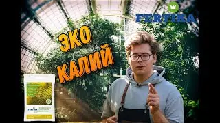 Как использовать Эко Калий?