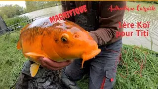 Magnifique Koï de Titi - pêche de la carpe