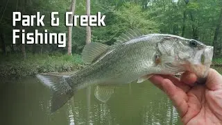 Park & Creek Fishing (Ep. 6) | Medium & Light Action Rods