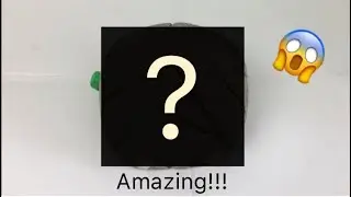 Unboxing an AMAZING new ant nest!