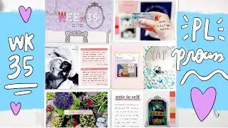Project Life Process 2024- Week 35