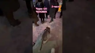 Амстафф Бой через людей 