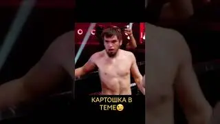 КАРТОШКА В ТЕМЕ😉