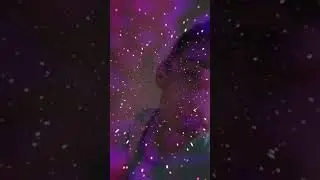 уроки учат только лохи пацаны ебут ладохи