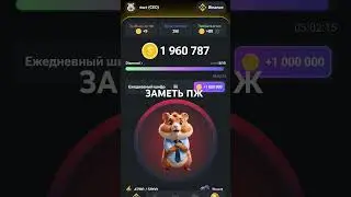 25 июля 2024 г.