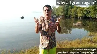 Why is crypto crash no more?