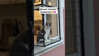 гуляет..😄 