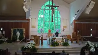 Daily Mass