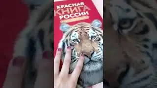 Мои энциклопедии. Часть1