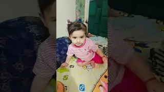 little kishu baby 🐥