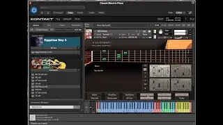 Acoustic Guitar and Strum Guitar Kontakt Library Contact- 8400414099