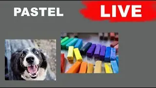 Live Session - Soft pastel painting
