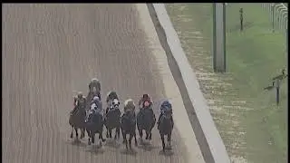 LAUREL PARK 08 10 2024 RACE 6