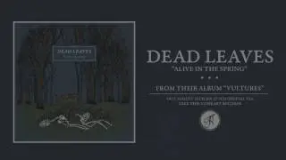 Dead Leaves - 