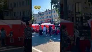 #shorts #short #shortvideo #деньшахтера #лето #праздник #ярмарка #музыка #надеждажитина #2024#nature